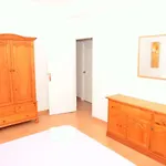 Big room in heart dowtown